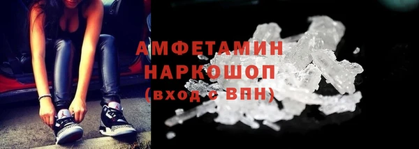 молекула духа Арсеньев