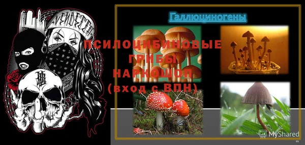 бошки Армянск