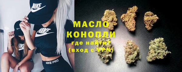 молекула духа Арсеньев