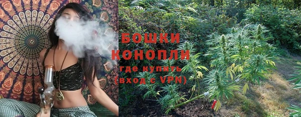 молекула духа Арсеньев