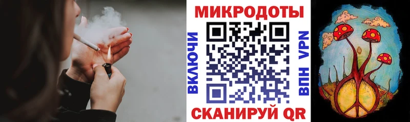 купить наркотик  Пущино  Галлюциногенные грибы GOLDEN TEACHER 